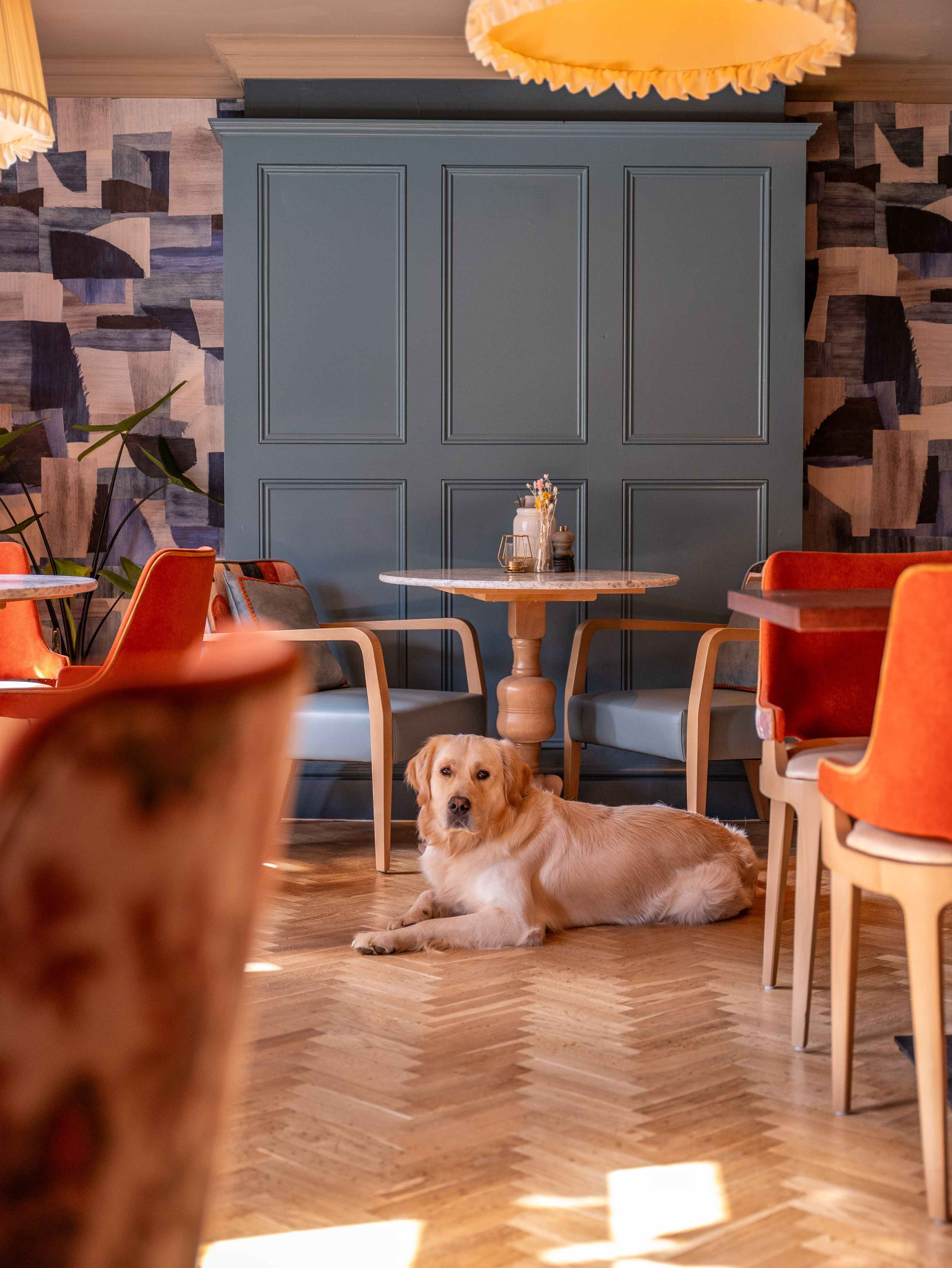 dog lying by a table in the pub